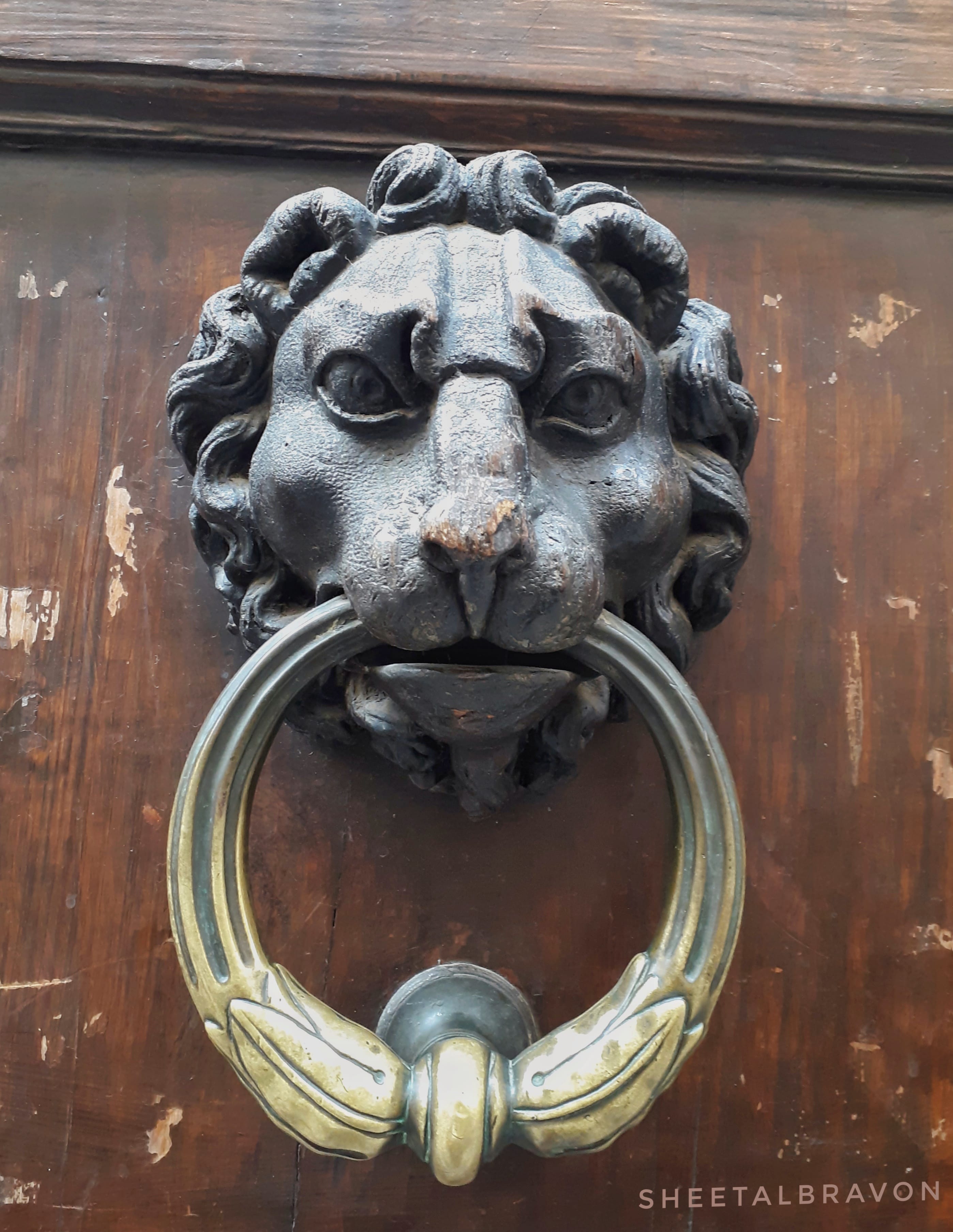 Lion door knocker in Florence 