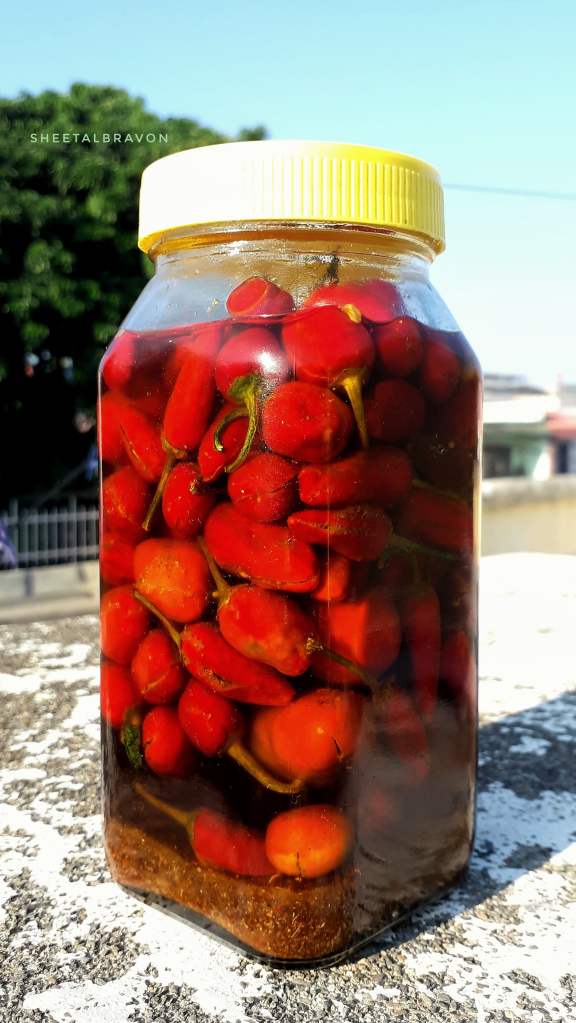 Homemade Dalle Chili Pickle. Red hot cherry peppers from Northeast India.